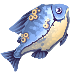 barnaclefish.png