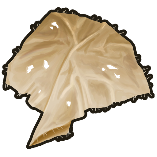cloth.png
