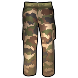 cloth_pants.png
