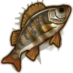 cooked_perch.png