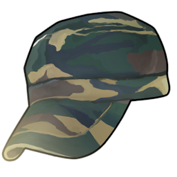 defense_camo_hat.png
