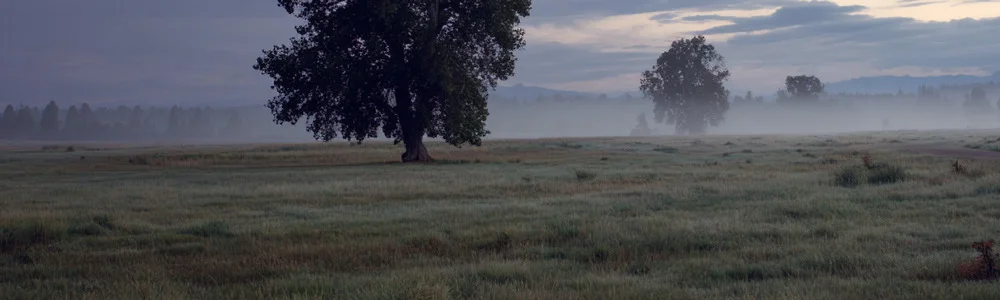 Open Meadow location artwork