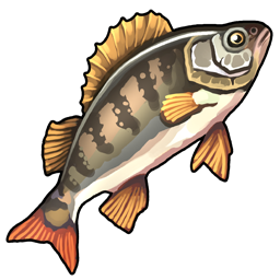 perch.png